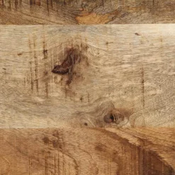 vidaXL Nachtkastje 40x35x40 cm massief ruw mangohout