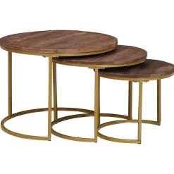 vidaXL Nest Koffietafels 3 st Donkerbruin 60 x 60 x 45 cm
