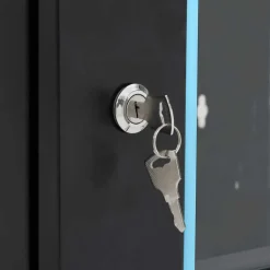 vidaXL Netwerkkast wandgemonteerd 4U 19