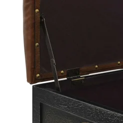 vidaXL Opbergbankje 80,5x41x50 cm massief hout en kunstleer