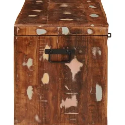vidaXL Opbergbox met opslag met de deur Bruin Massief Mango Hout