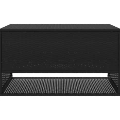 vidaXL Opbergbox voor buiten 100x55x55,5 cm poly rattan zwart