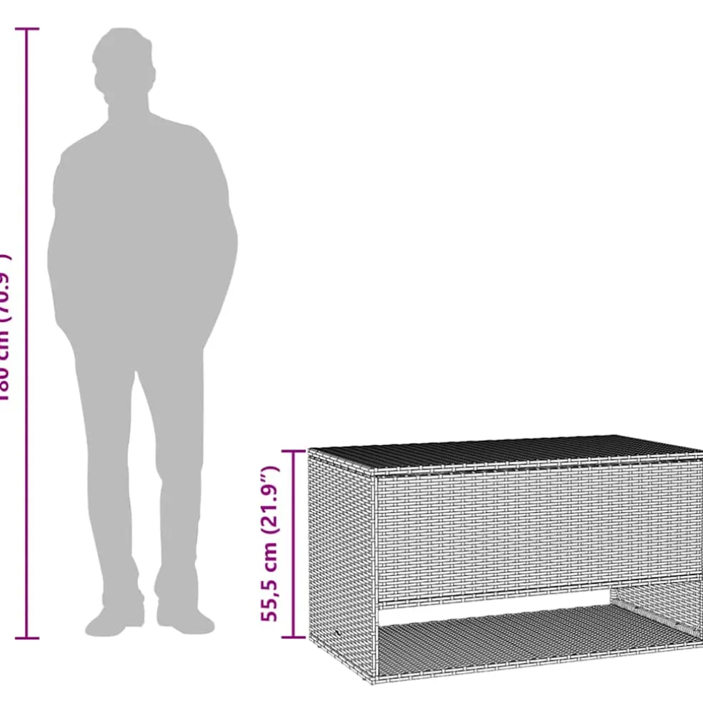 vidaXL Opbergbox voor buiten 100x55x55,5 cm poly rattan grijs