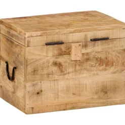 vidaXL Opbergbox 39x28x31 cm massief mangohout
