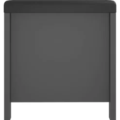 vidaXL Opbergdoos met kussen grijs 105x40x45 cm
