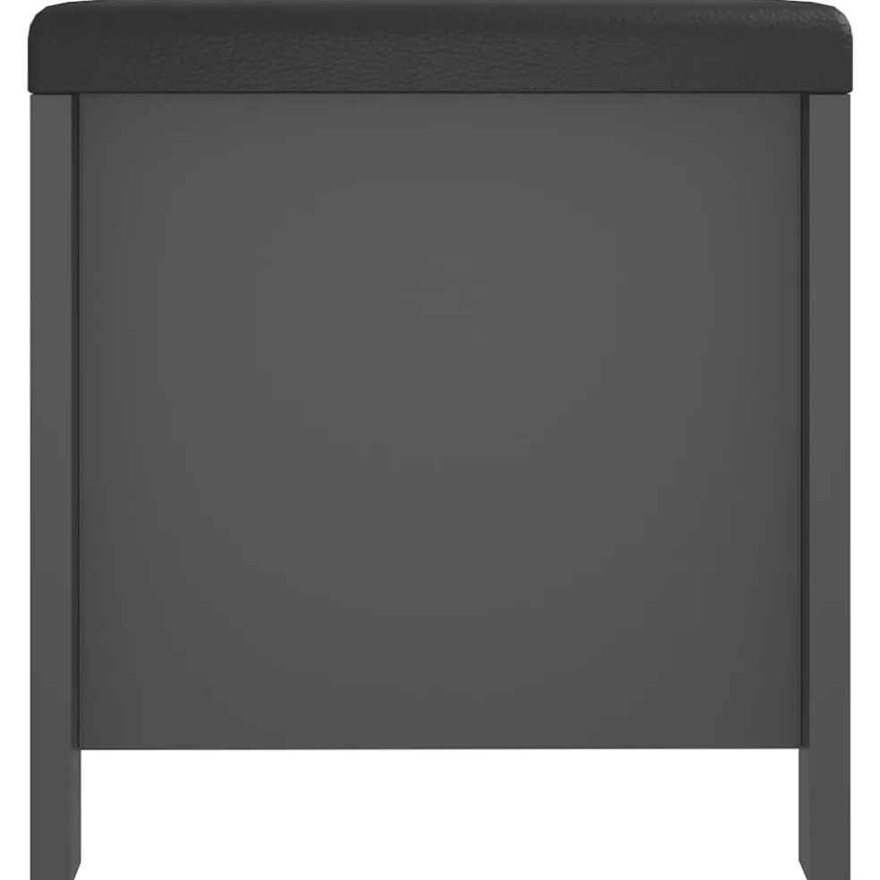 vidaXL Opbergdoos met kussen grijs 105x40x45 cm