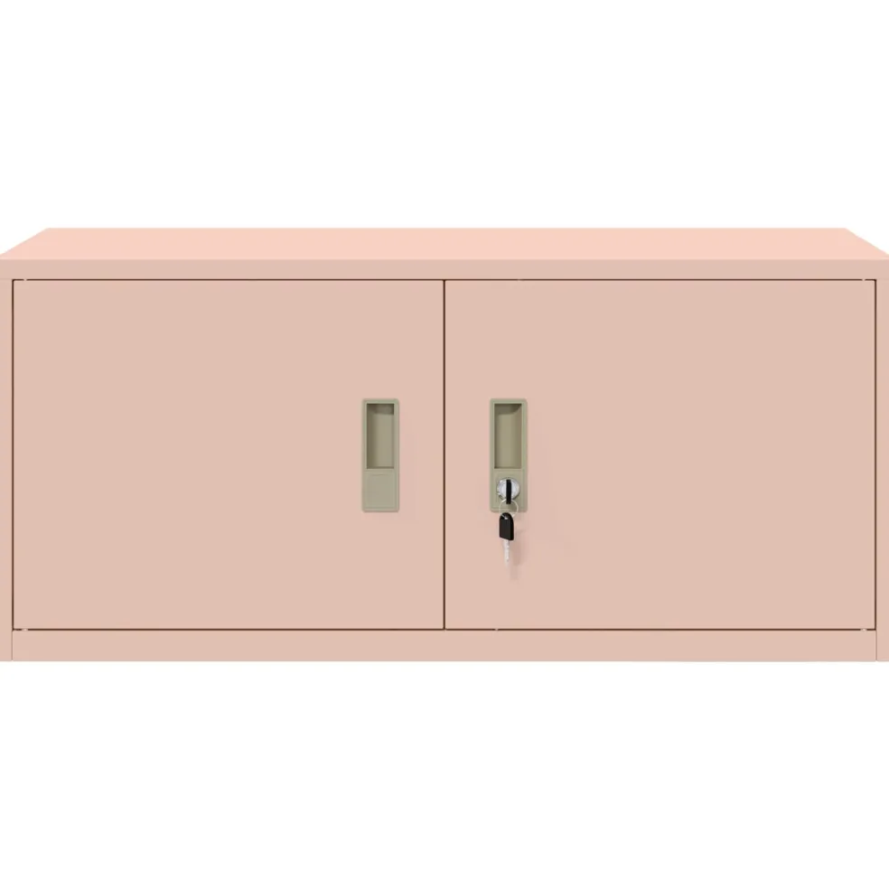 vidaXL Opbergkast Roze 90 x 40 x 40 cm Staal