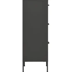 vidaXL Opbergkast 42,5x35x101,5 cm staal antracietkleurig