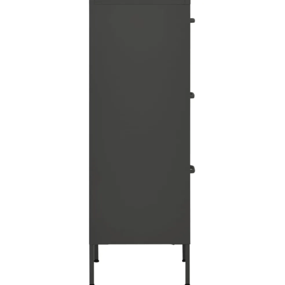 vidaXL Opbergkast 42,5x35x101,5 cm staal antracietkleurig