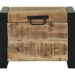 vidaXL Opbergkisten Bruin 40 x 30 x 30 cm Massief mangohout