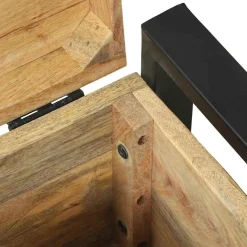 vidaXL Opbergkisten Bruin 40 x 30 x 30 cm Massief mangohout