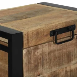 vidaXL Opbergkisten Bruin 40 x 30 x 30 cm Massief mangohout