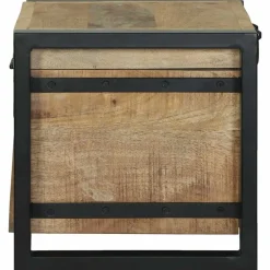vidaXL Opbergkisten Bruin 40 x 30 x 30 cm Massief mangohout