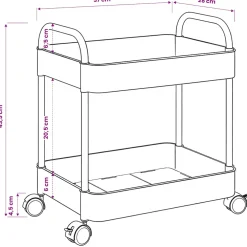 vidaXL Opbergtrolley 2-laags 37x28x43,5 cm acryl transparant