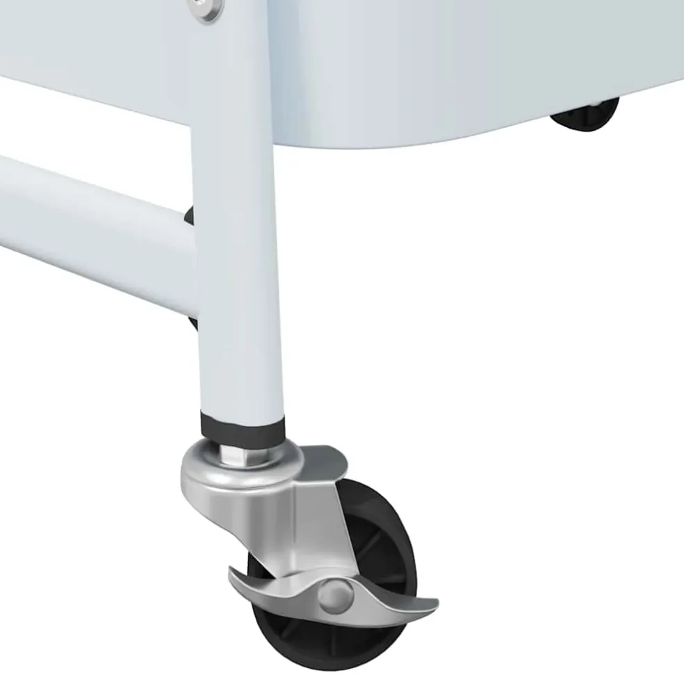 vidaXL Opbergtrolley 3-laags 42x41,5x77 cm staal wit