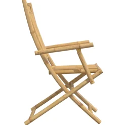 vidaXL Opklapbare stoelen, 2 stuks, 53x66x99 cm, bamboe