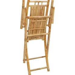 vidaXL Opklapbare stoelen, 2 stuks, 53x66x99 cm, bamboe