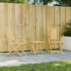 vidaXL Opklapbare stoelen, 2 stuks, 53x66x99 cm, bamboe