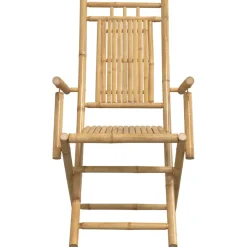 vidaXL Opklapbare stoelen, 2 stuks, 53x66x99 cm, bamboe