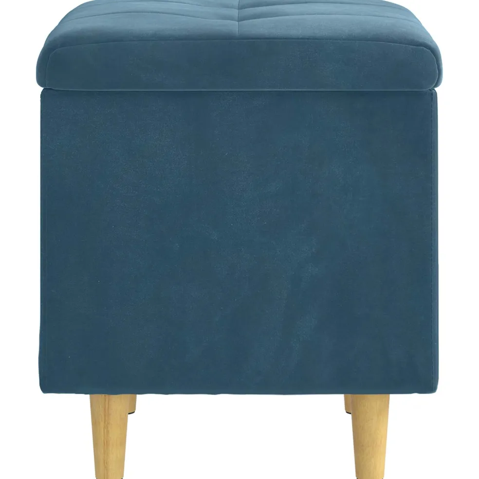vidaXL Ottoman met Opbergruimte Blauw 40 x 40 x 45 cm Fluweel