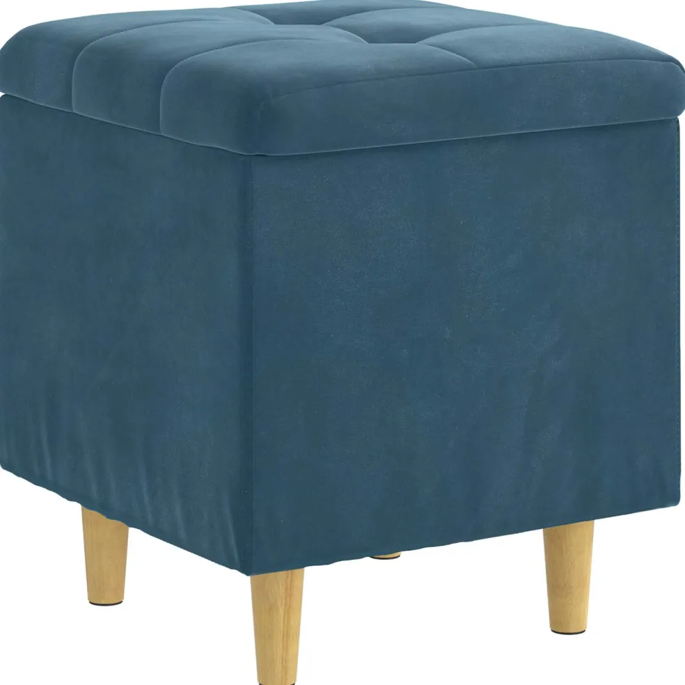 vidaXL Ottoman met Opbergruimte Blauw 40 x 40 x 45 cm Fluweel