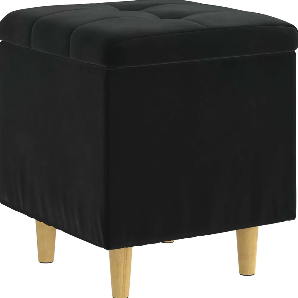 vidaXL Ottoman met Opbergruimte Zwart 40 x 40 x 45 cm Fluweel