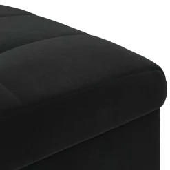 vidaXL Ottoman met Opbergruimte Zwart 40 x 40 x 45 cm Fluweel