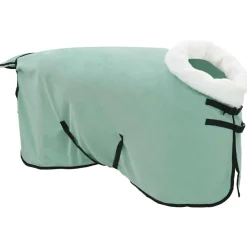 vidaXL Paardendeken Speciale Groen 75 cm Polar fleece