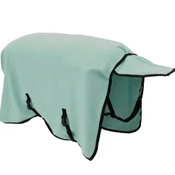 vidaXL Paardendeken Speciale Groen 115 cm Polyester Fleece