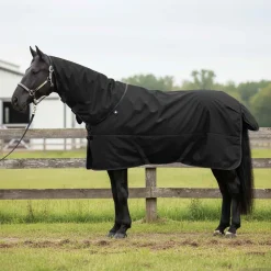 vidaXL Paardendeken Volledig Zwart 75 cm Polyester