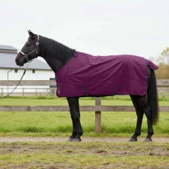 vidaXL Paardendeken Volledig Paars 75 cm Polyester