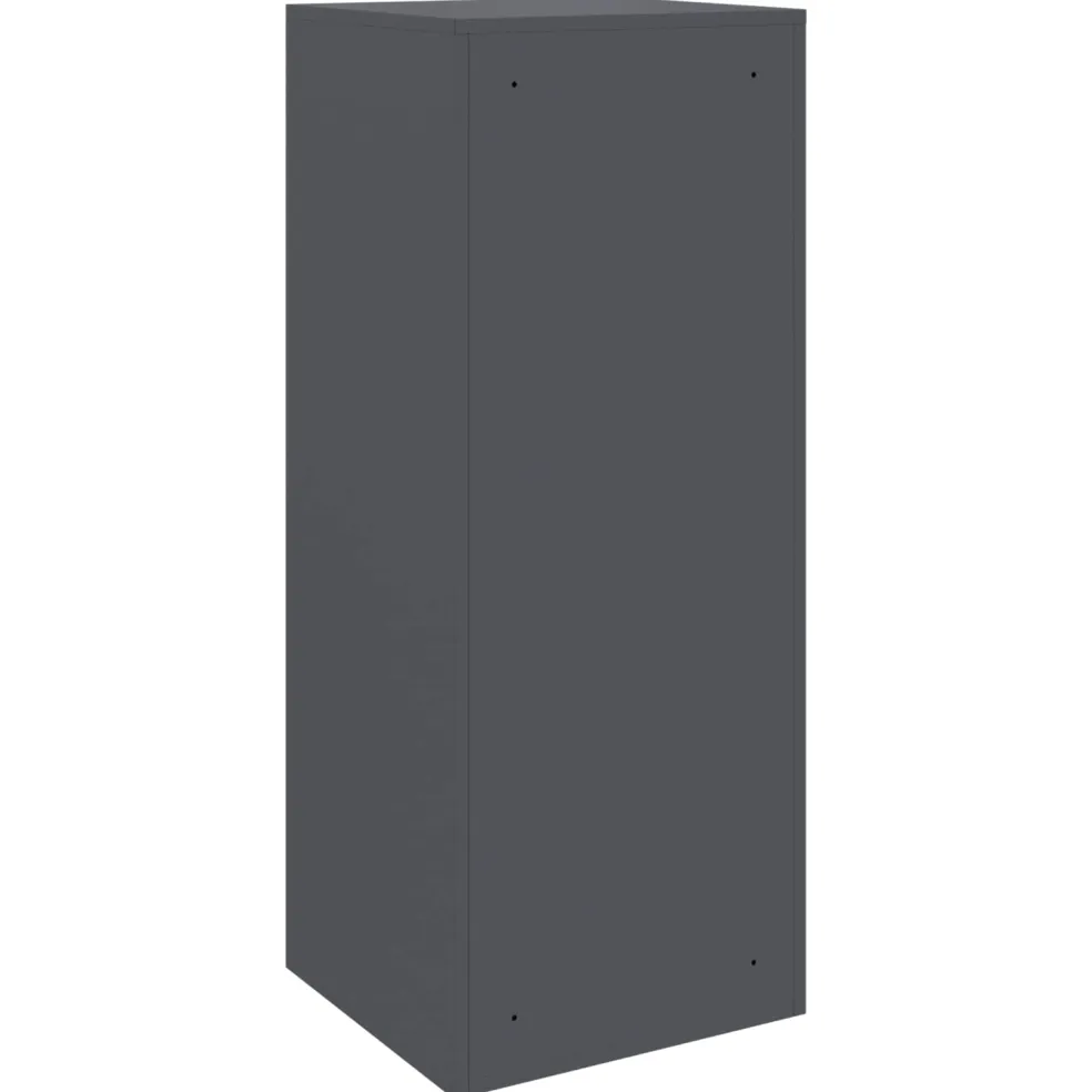 vidaXL Pakket inwerp box met opslag Antraciet 41 x 38 x 103 cm Staal