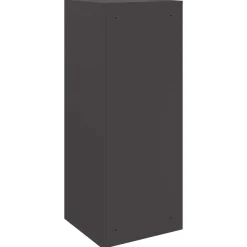 vidaXL Pakket inwerp box met opslag Zwart 41 x 38 x 103 cm Staal