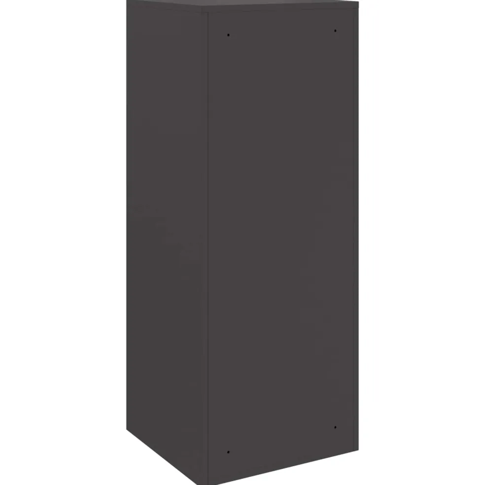 vidaXL Pakket inwerp box met opslag Zwart 41 x 38 x 103 cm Staal