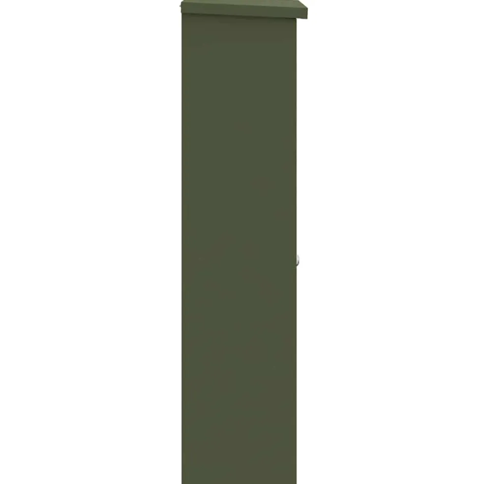 vidaXL Pakket inwerp box Olijfgroen 44,5 x 29 x 110,5 cm Staal