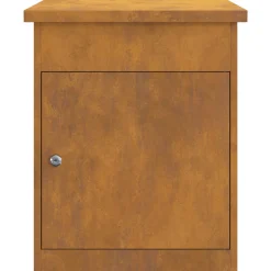 vidaXL Pakket inwerp box Roestig 47,5 x 38 x 59 cm weervast staal
