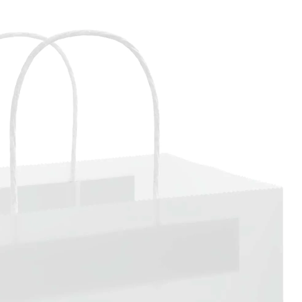 vidaXL Papieren zakjes 50 st met hengsels 21x11x28 cm wit