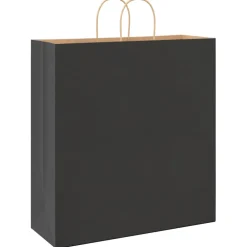 vidaXL Papieren zakken 250 st met hengsels 45x17x48 cm zwart