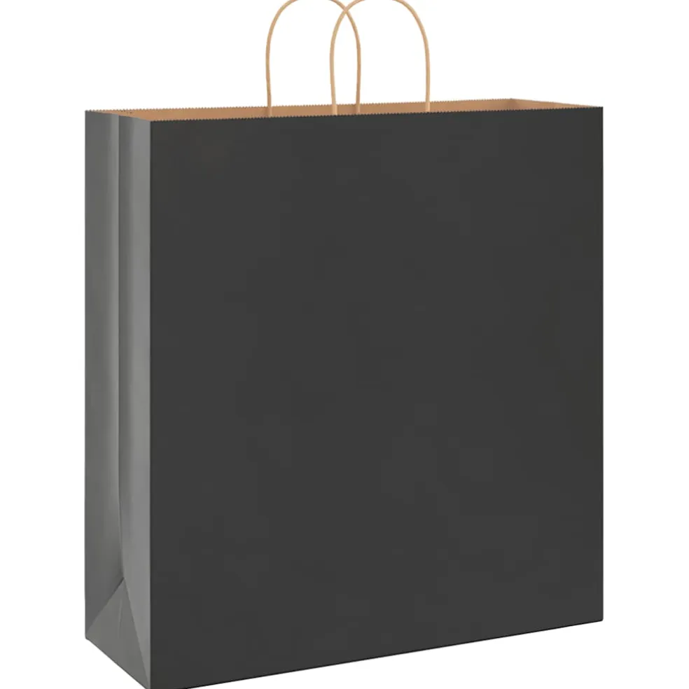 vidaXL Papieren zakken 250 st met hengsels 45x17x48 cm zwart