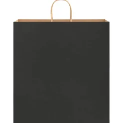 vidaXL Papieren zakken 250 st met hengsels 45x17x48 cm zwart