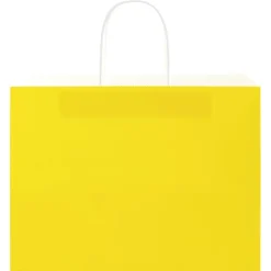 vidaXL Papieren zakken 50 st met hengsels 32x17x25 cm geel