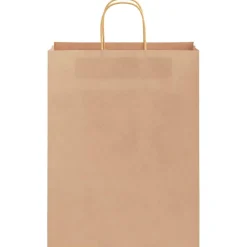 vidaXL Papieren zakken 50 st met hengsels 32x12x42 cm bruin
