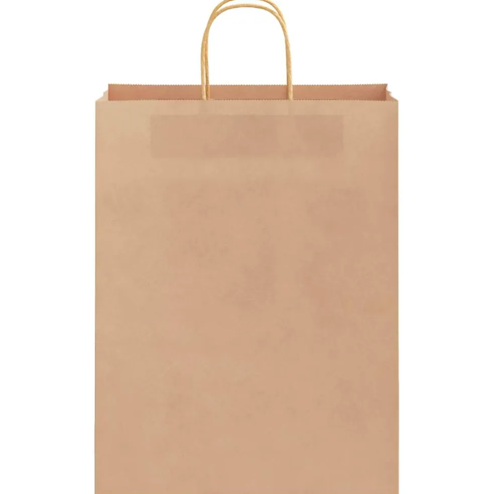 vidaXL Papieren zakken 50 st met hengsels 32x12x42 cm bruin