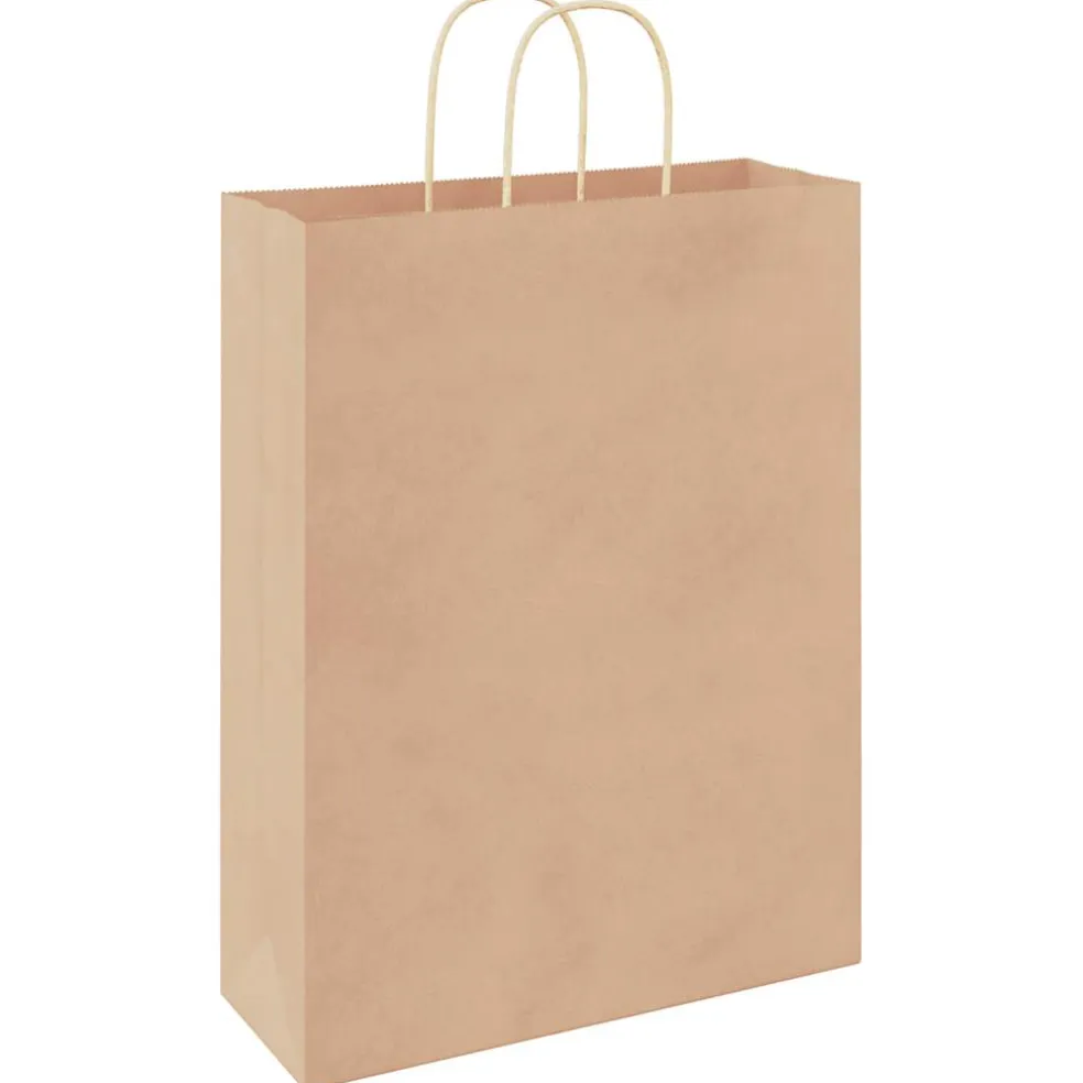 vidaXL Papieren zakken 50 st met hengsels 32x12x42 cm bruin