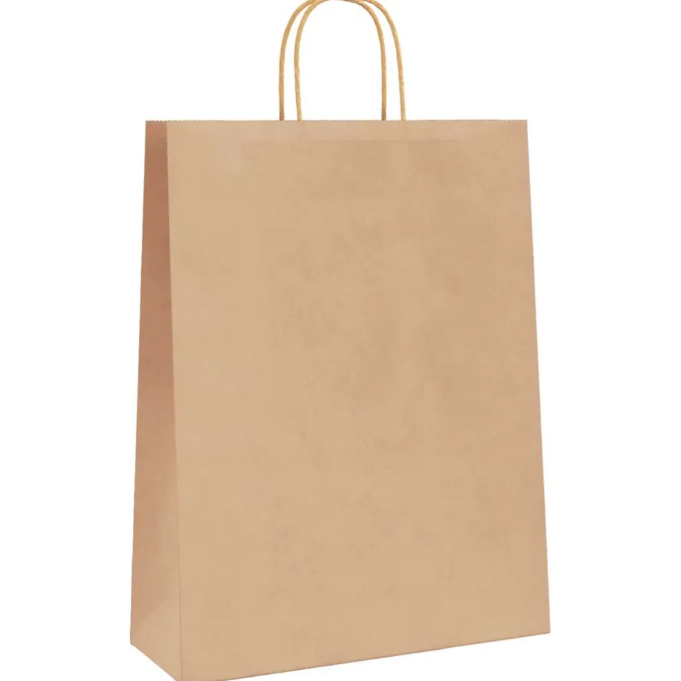 vidaXL Papieren zakken 50 st met hengsels 32x12x42 cm bruin
