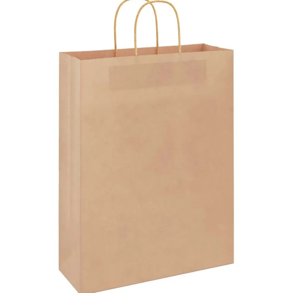 vidaXL Papieren zakken 50 st met hengsels 32x12x42 cm bruin