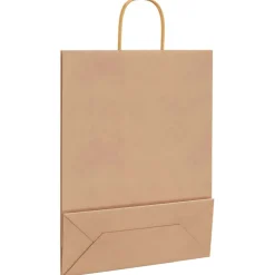 vidaXL Papieren zakken 50 st met hengsels 32x12x42 cm bruin