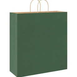 vidaXL Papieren zakken 250 st met hengsels 45x17x48 cm groen