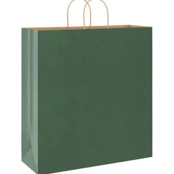 vidaXL Papieren zakken 250 st met hengsels 45x17x48 cm groen