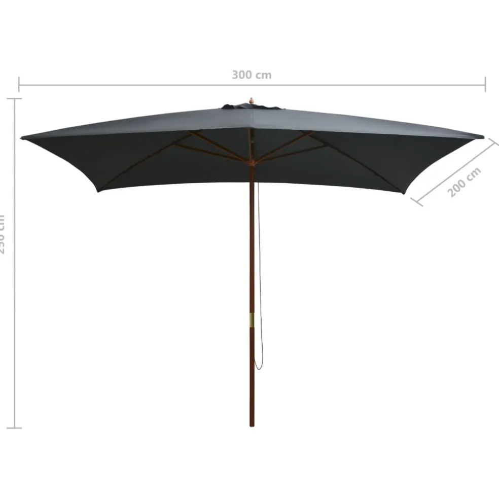 vidaXL Parasol met houten paal 200x300 cm antraciet